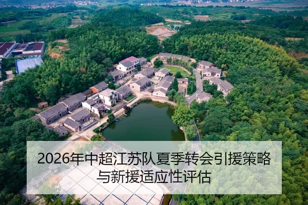 2026年中超江苏队夏季转会引援策略与新援适应性评估